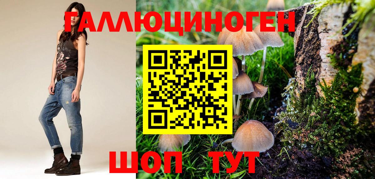 Галлюциногенные грибы GOLDEN TEACHER  Вход с VPN  Псилоцибиновые грибы MAGIC MUSHROOMS  Ковров 