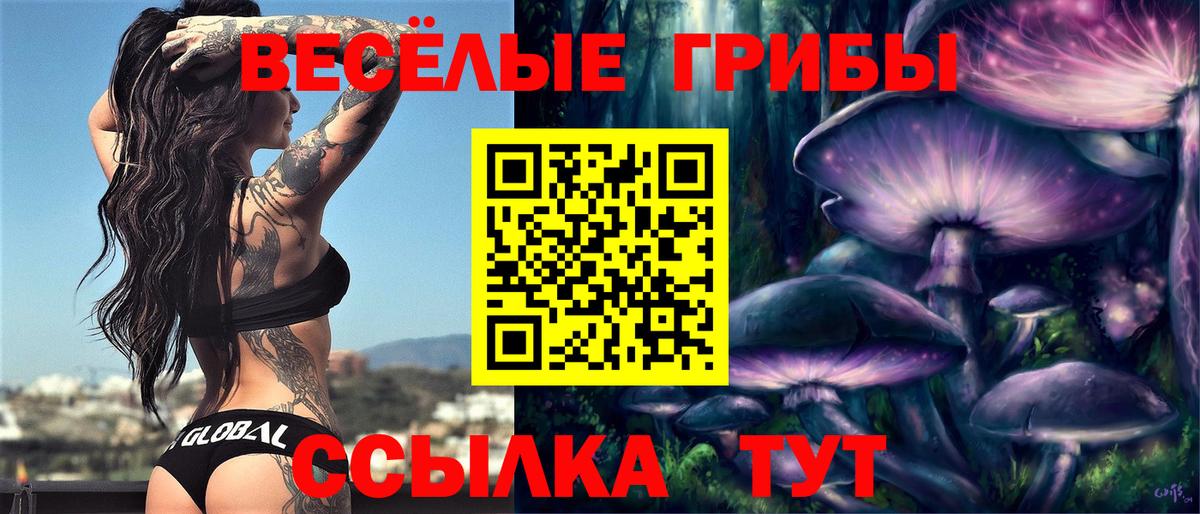 Псилоцибиновые грибы Psilocybine cubensis Ковров